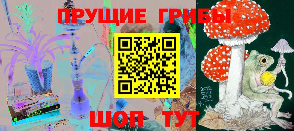 Псилоцибиновые грибы Cubensis  Вход с VPN  Верхняя Пышма 